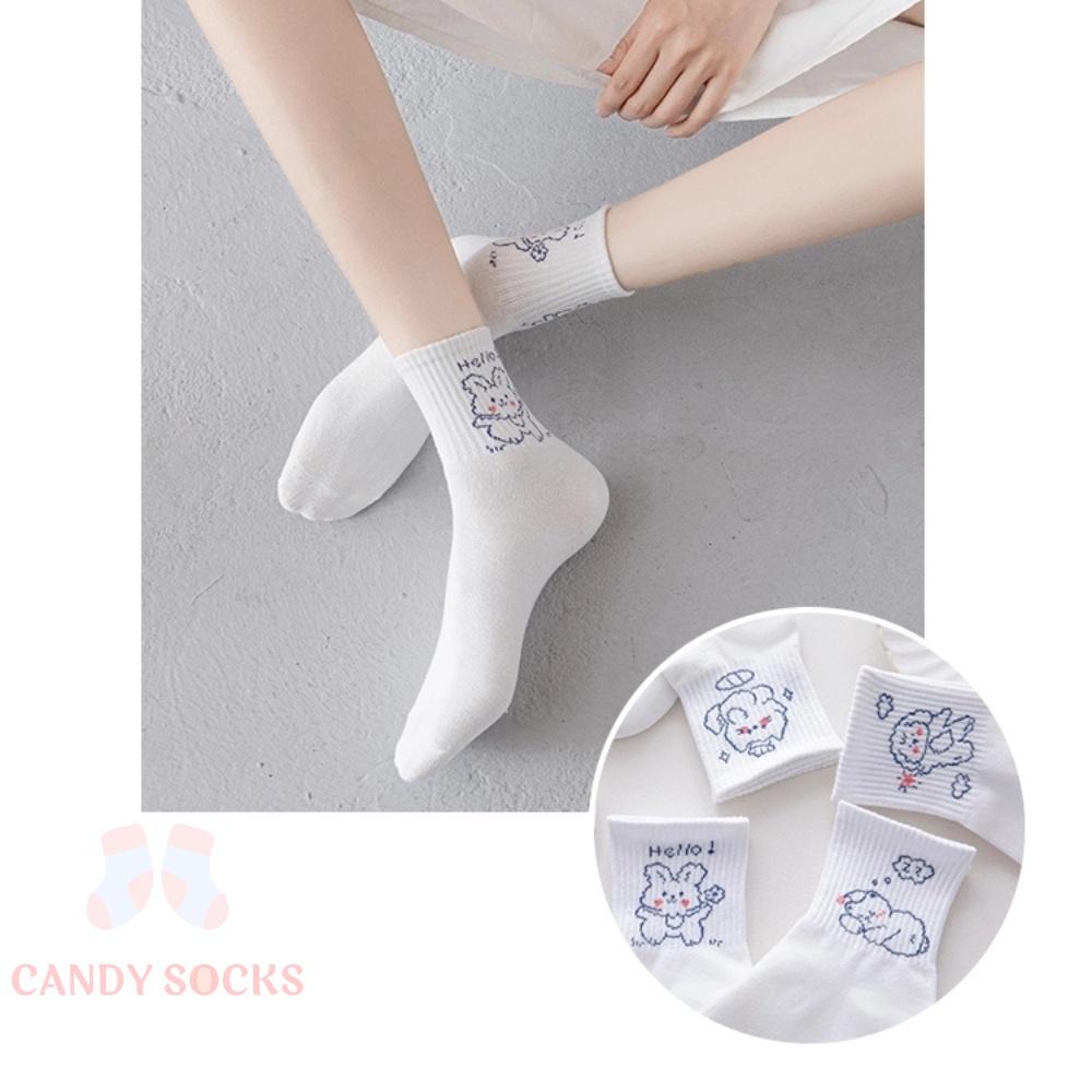 Tất nữ vớ nữ cổ trung, Set 5 đôi tất nữ phong cách Hàn Quốc, co dãn 4 chiều, chất liệu cotton Hàn cao cấp TN-196