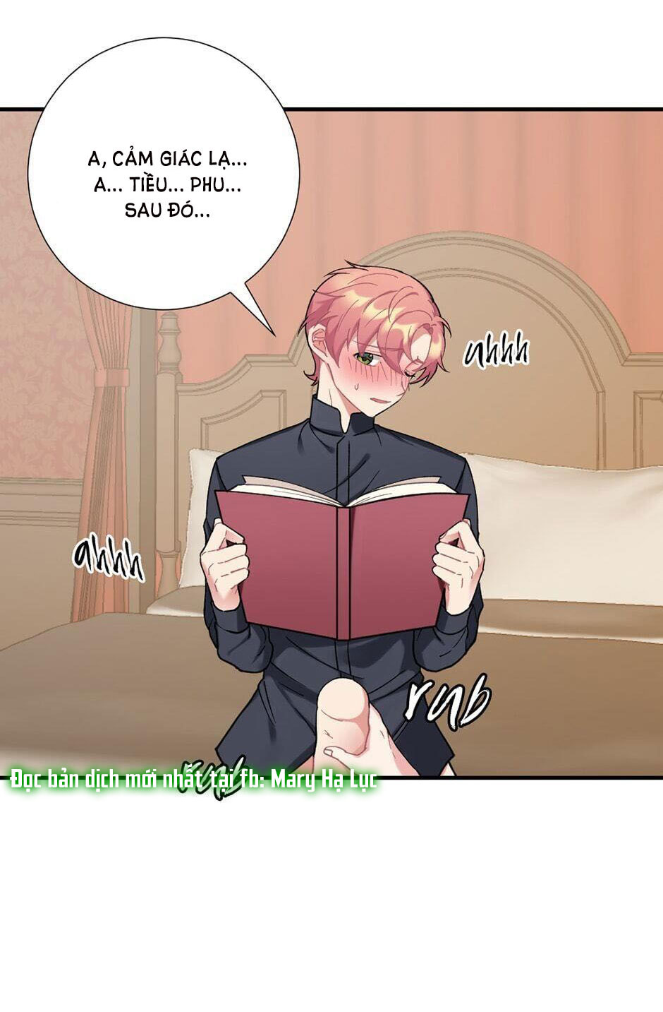 tiểu thư và dàn hầu nam mlem chapter 24 5