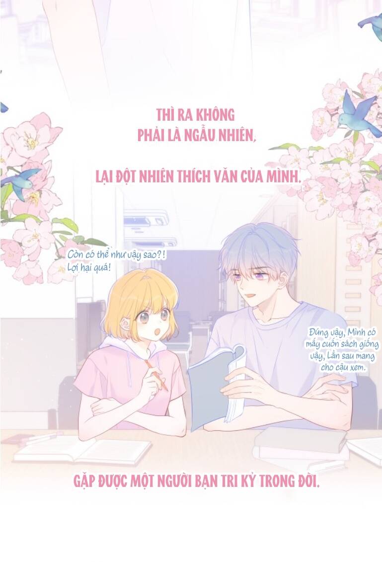 vì sao của tôi chapter 127 4