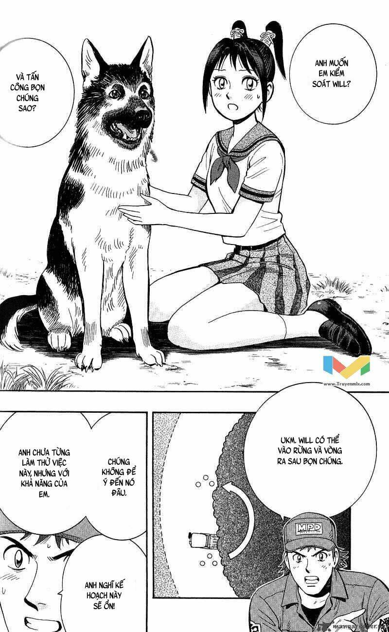 animal sense chapter 12 16