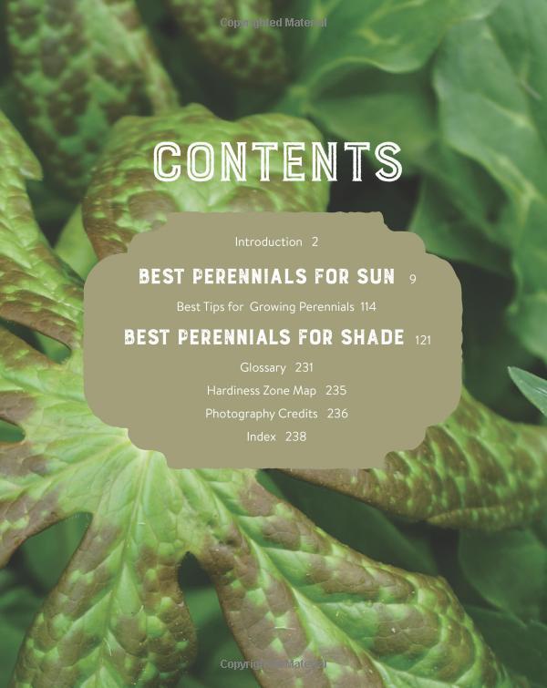 Best Perennials for Sun and Shade (Home Grown Gardening)