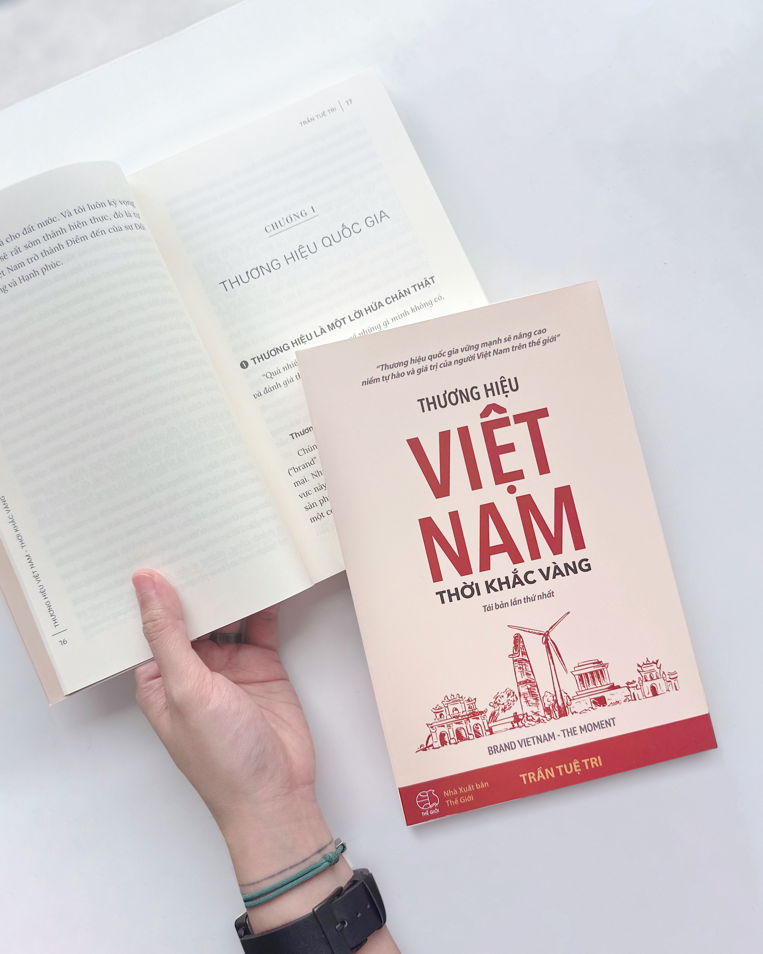 THƯƠNG HIỆU VIỆT NAM - THỜI KHẮC VÀNG (BRAND VIETNAM THE MOMENT) - Trần Tuệ Tri - (bìa mềm)