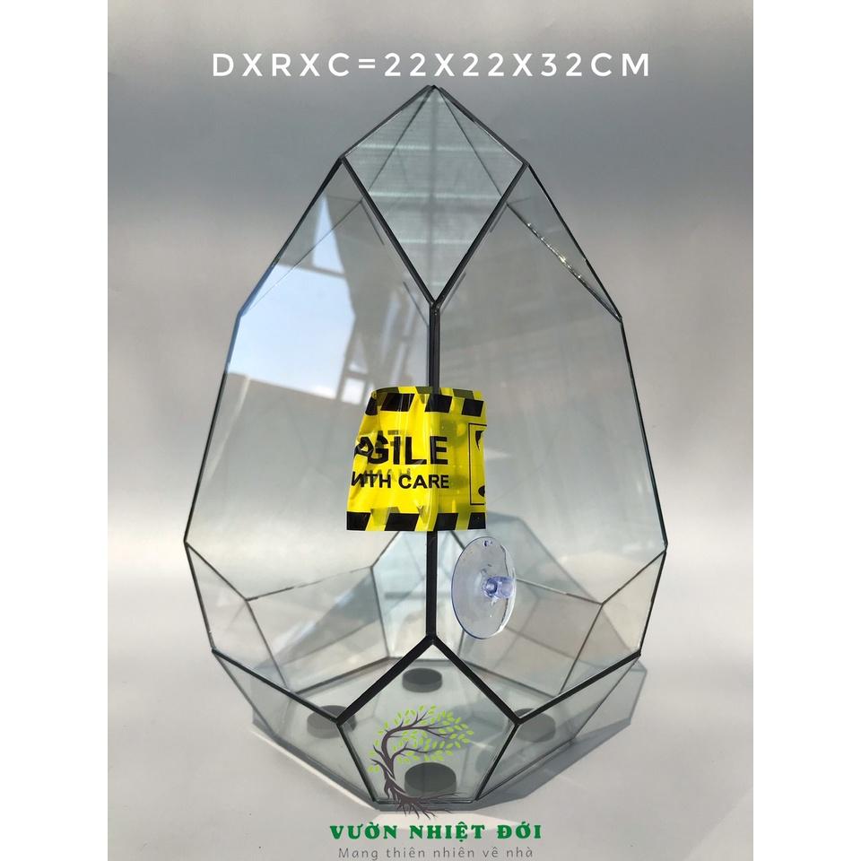 Bể Terrarium Đa Giác Setup Bán Cạn Để Bàn Làm Việc Mở Được Cánh Cửa