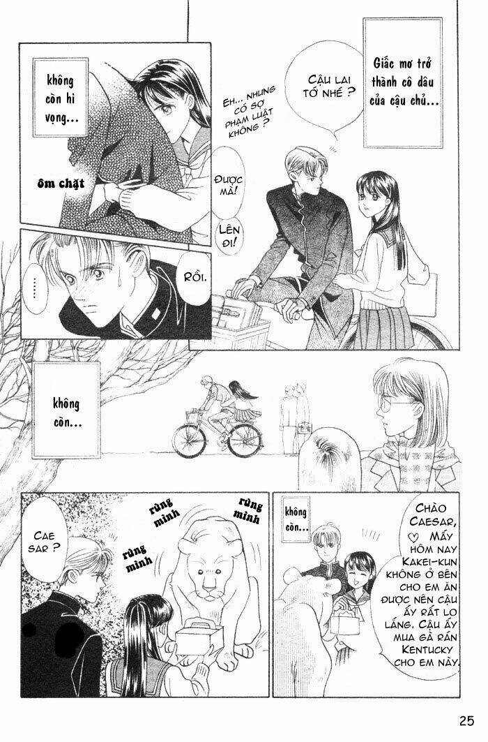 wild cats chapter 1 28