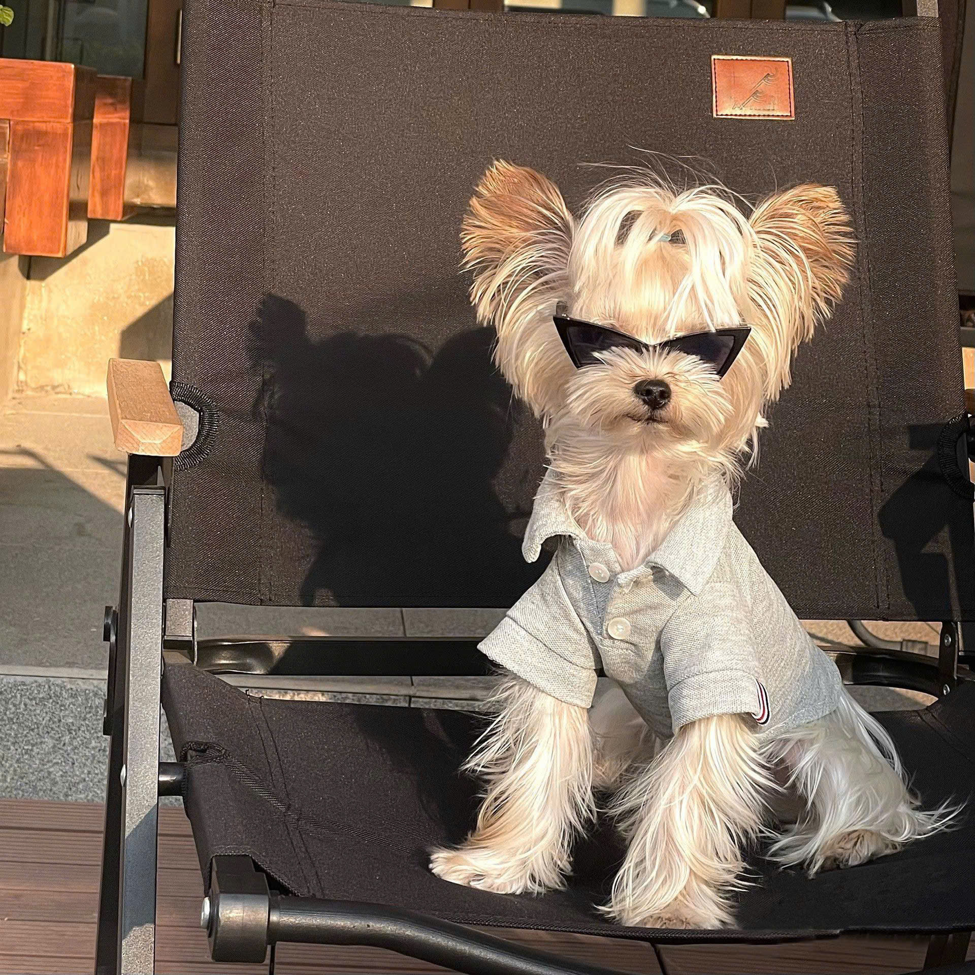 MẮT KÍNH KÍNH RÂM KÍNH MÁT NGỘ NGHĨNH TAM GIÁC SIÊU XINH SANG CHẢNH MÃ 1 CHO THÚ CƯNG CHÓ MÈO