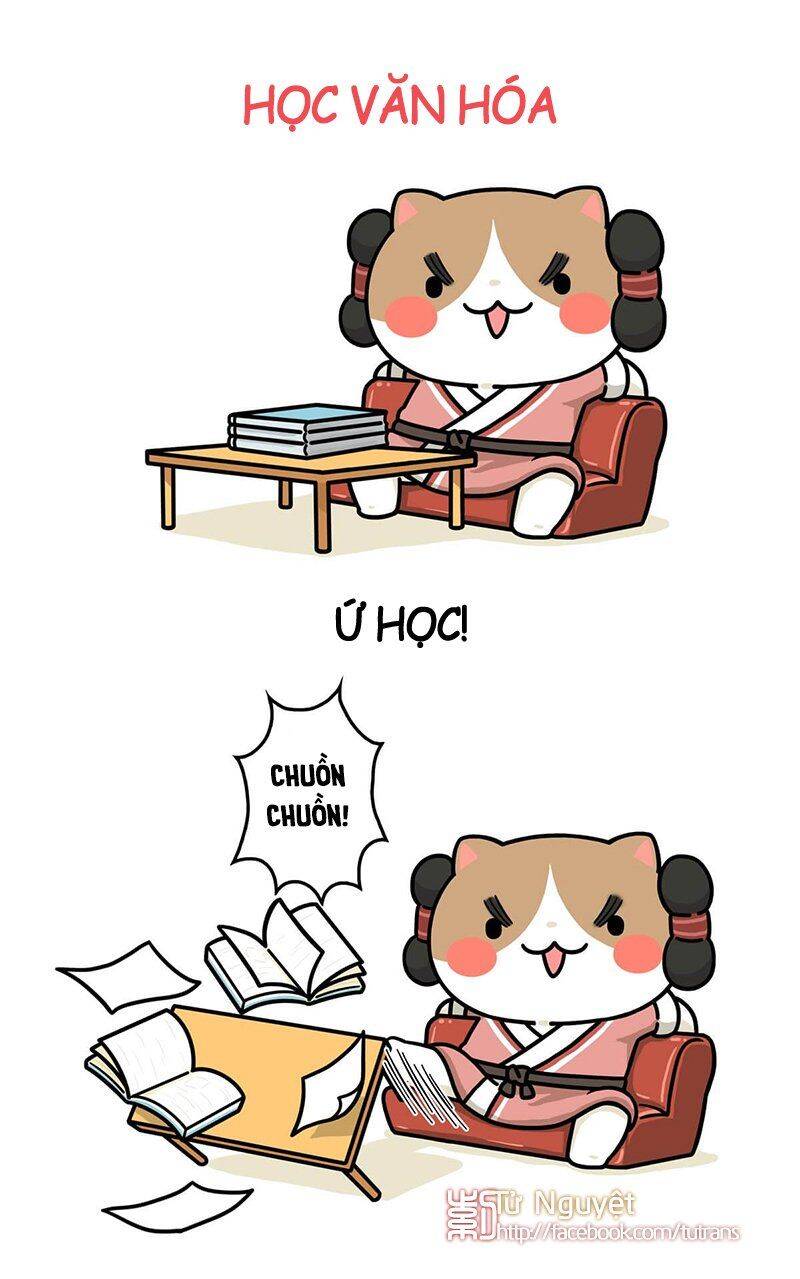 nếu lịch sử là một bầy mèo chapter 29 13