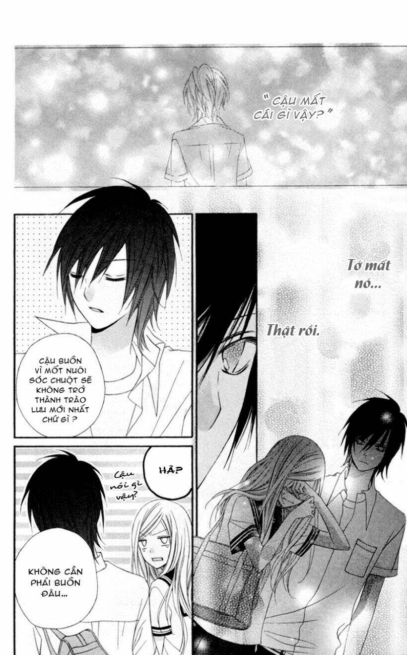 stardust wink chapter 3 24