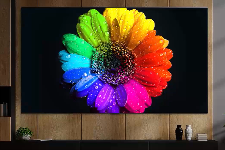 Smart Tivi QNED LG 4K 65 inch 65QNED86SQA - Model 2022