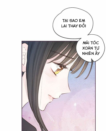 nỗi buồn của hoa cẩm tú cầu chapter 34 29