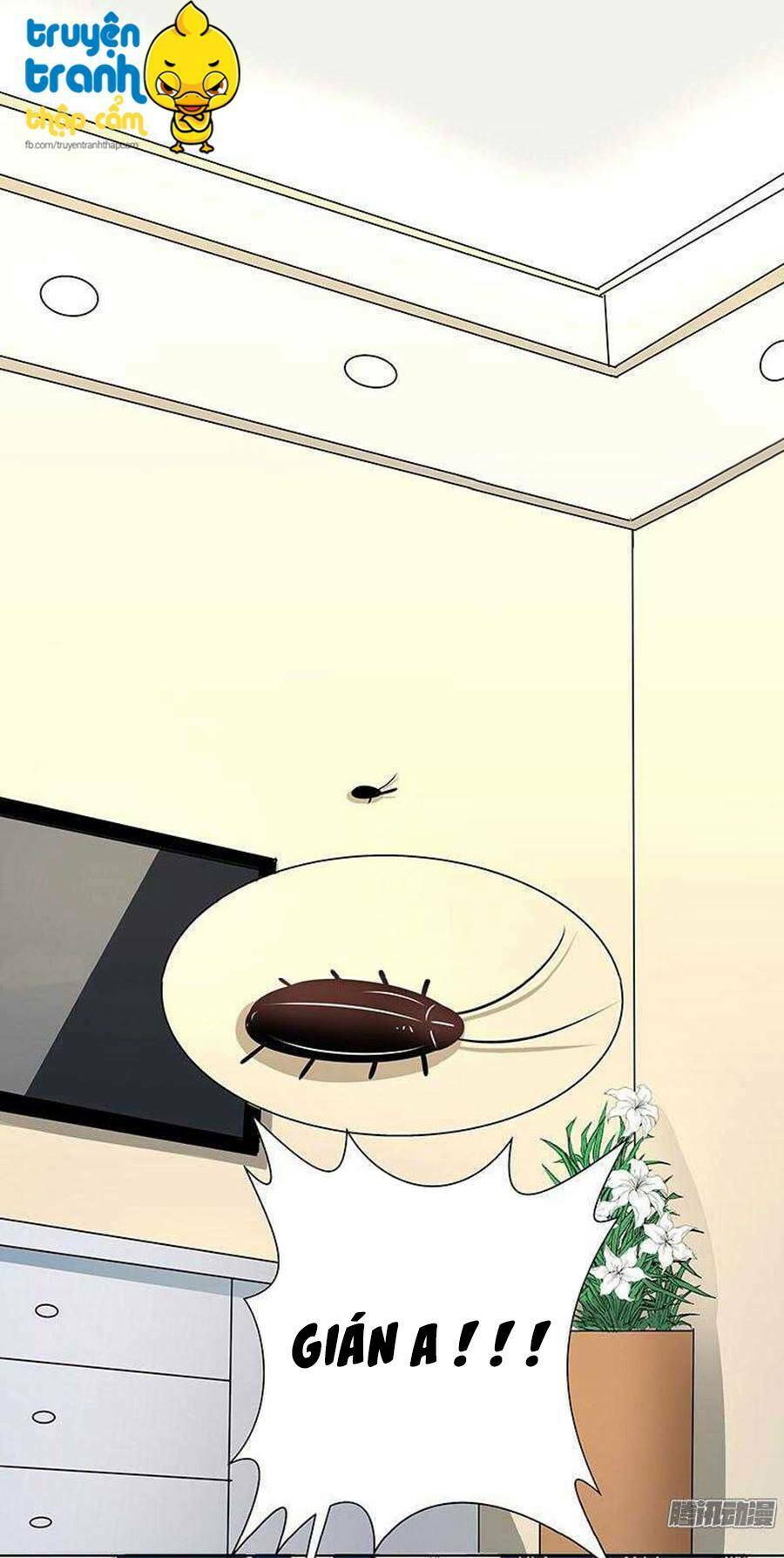 cường sủng hào môn tiểu manh thê chapter 26 35