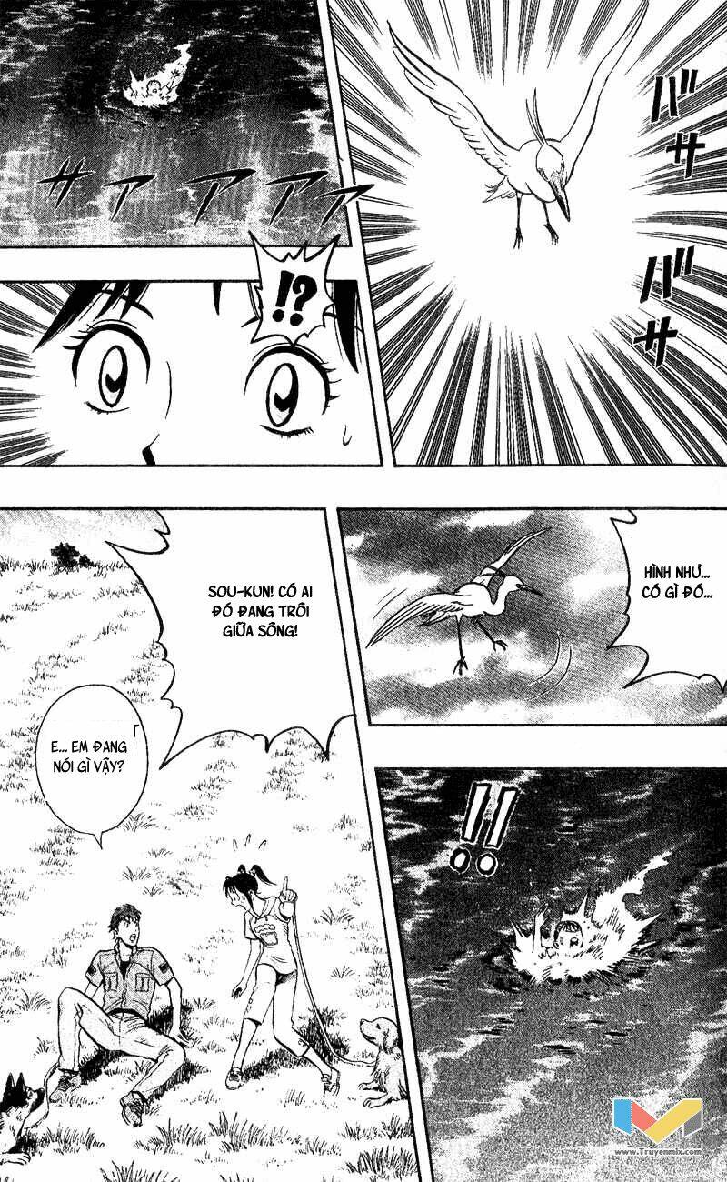 animal sense chapter 4 17