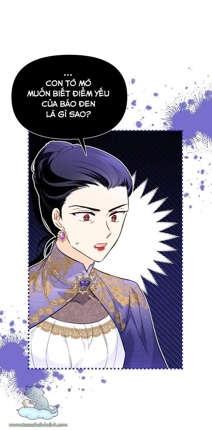 quan hệ cộng sinh giữa báo đen và thỏ trắng chapter 56 25