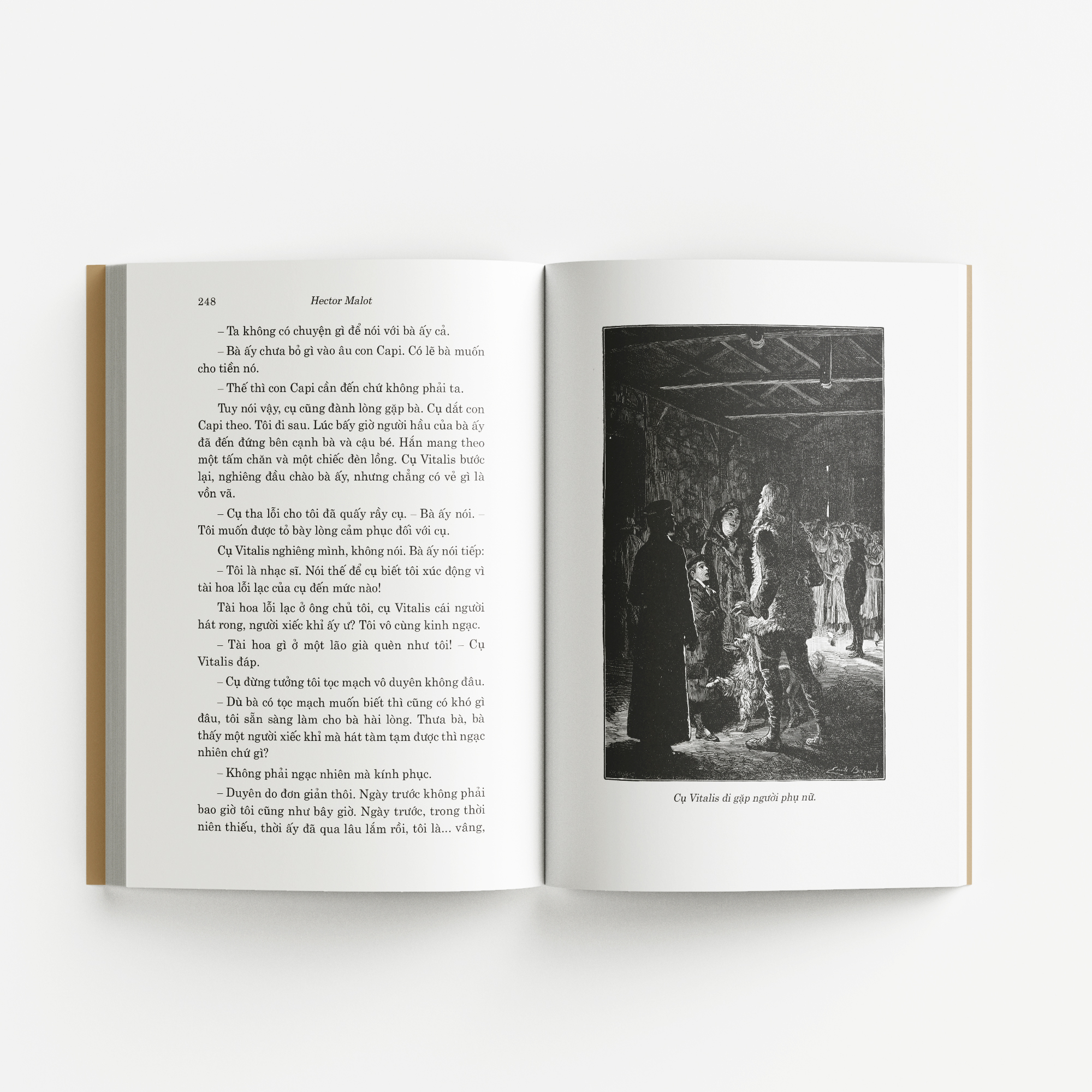 Không gia đình TB180 (Bìa hoa)