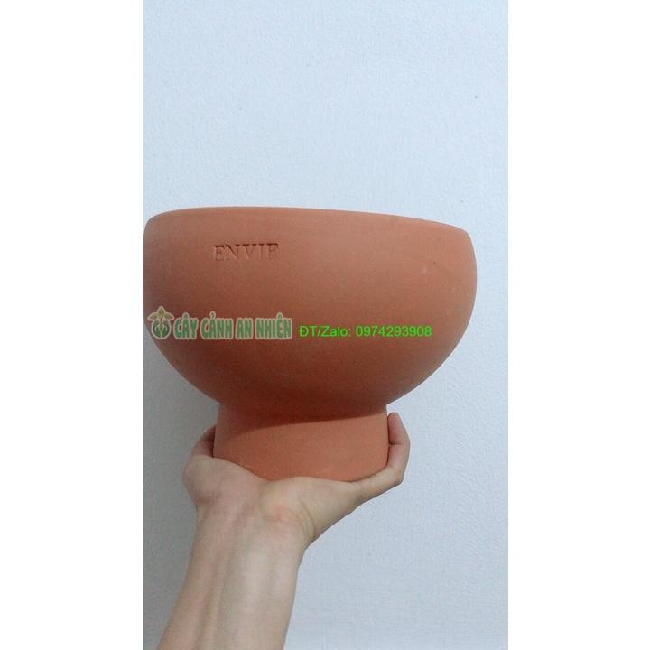 Chậu Đất Nung Trồng Cây