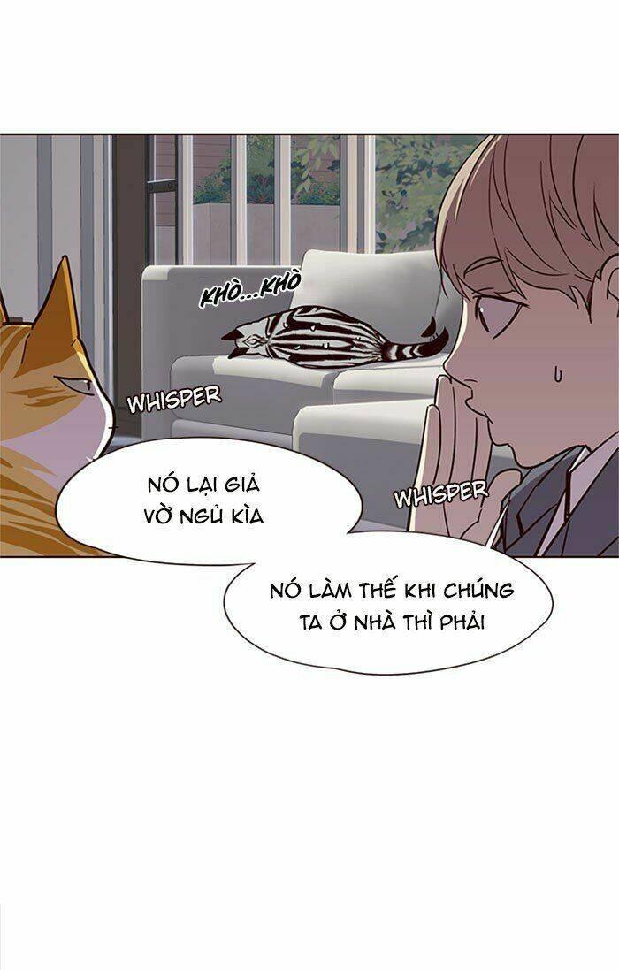 biến thân thành mèo chapter 37 38