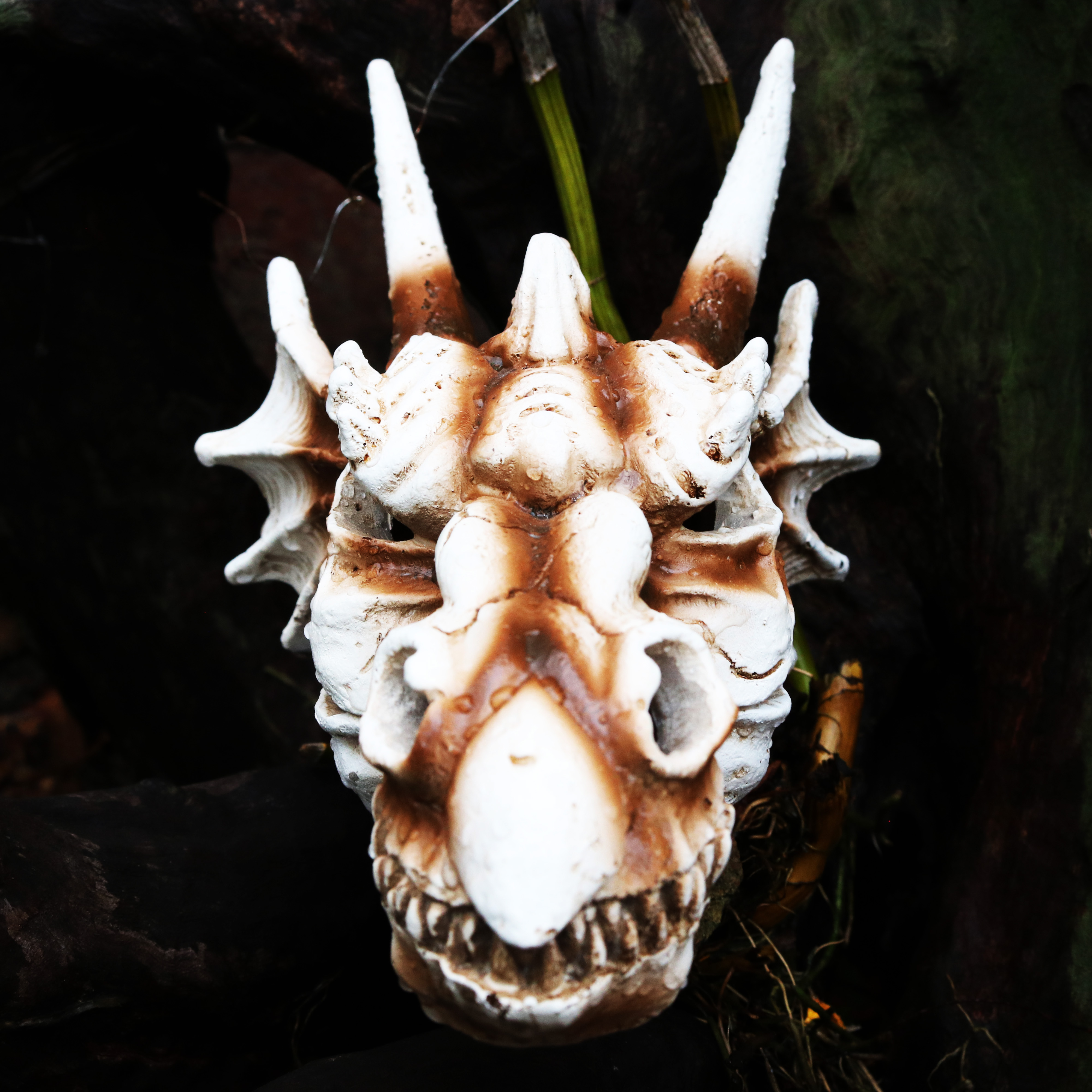 Mô hình Đầu rồng phong thủy trang trí bể thủy sinh - hồ bán cạn