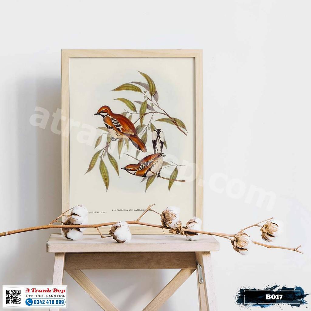 Tranh Canvas minh họa loài chim sẻ phong cách cổ điển - B017