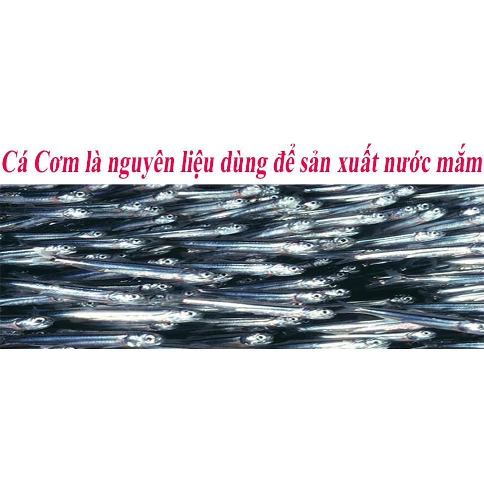 Thùng 4 chai 5 Lít Nước mắm Nhỉ Cá cơm 584 Nha Trang - Loại 25 độ Đạm, Date mới nhất.