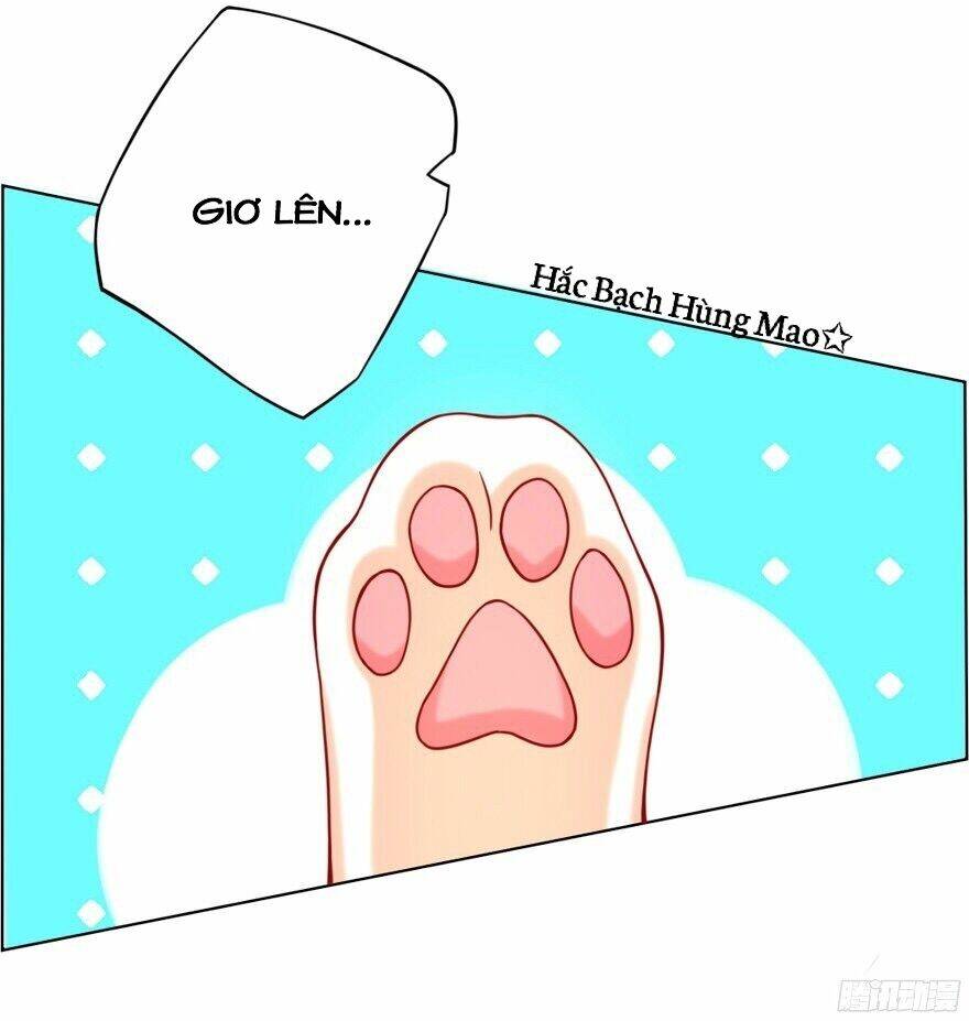 chủ nhân là ảnh đế chapter 1.2 14