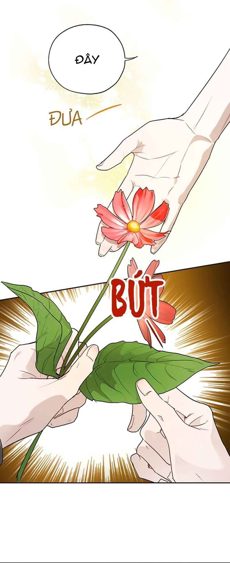 cách để cứu rỗi anh trai của nữ chính chapter 19 48