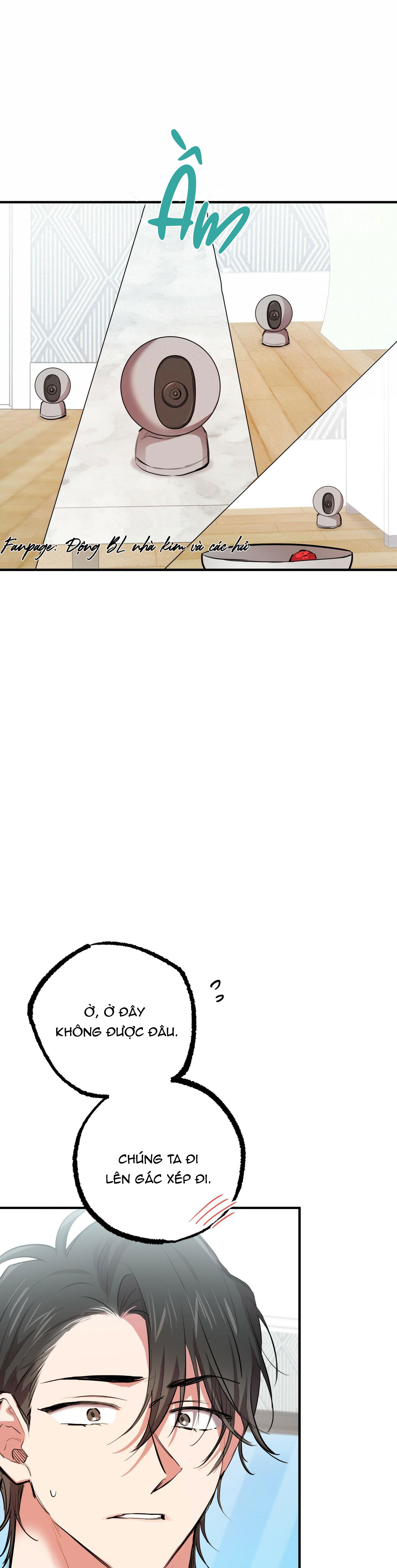 những chú thỏ của hapypy chapter 28 39