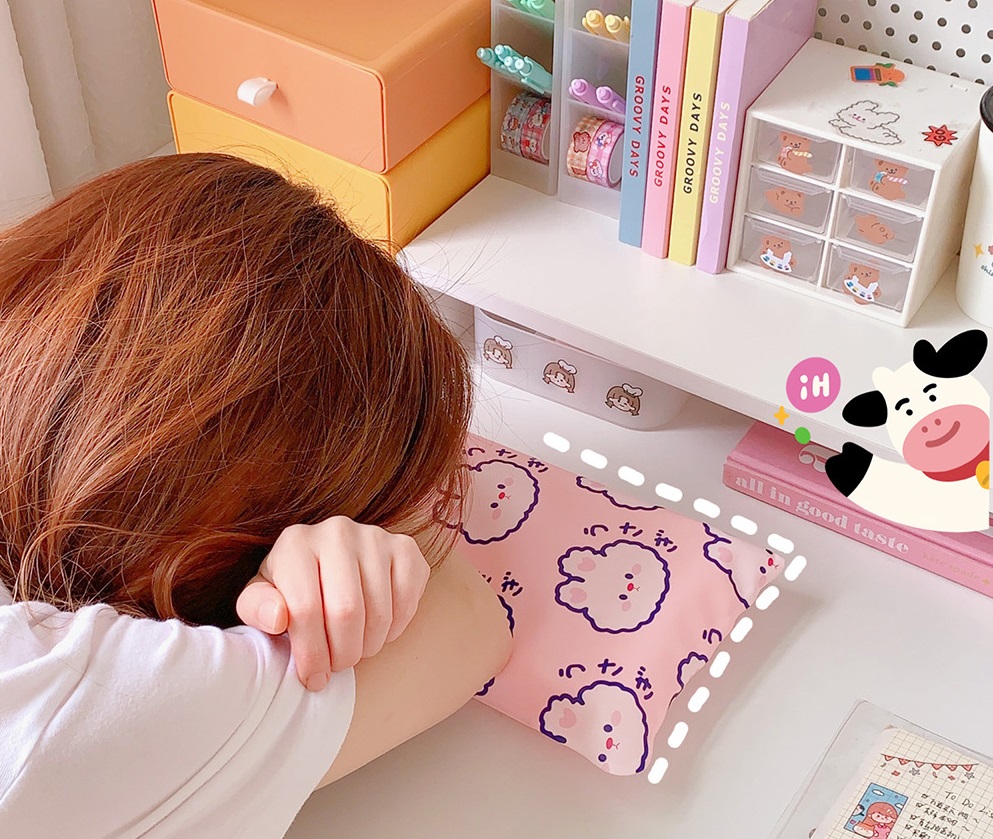 Gối Làm Mát Ngủ Trưa Nhiều Hình Dễ Thương