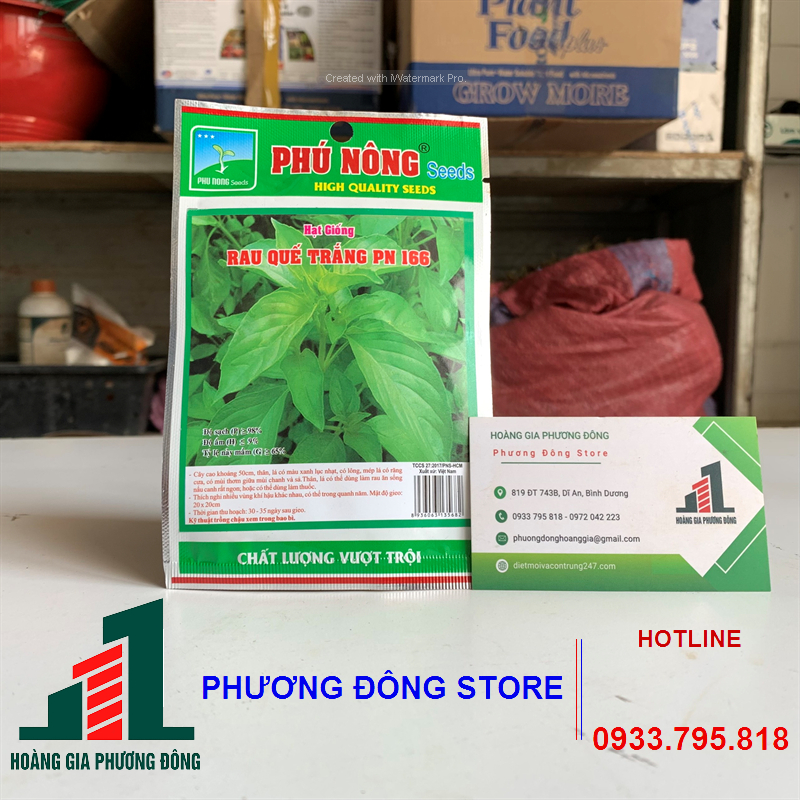 Combo 5-10 gói hạt giống rau quế trắng sinh trưởng mạnh, chất lượng