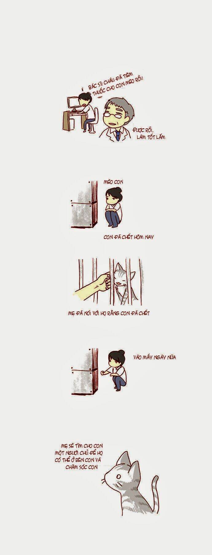 mèo con và chú chó già của tôi chapter 10 4