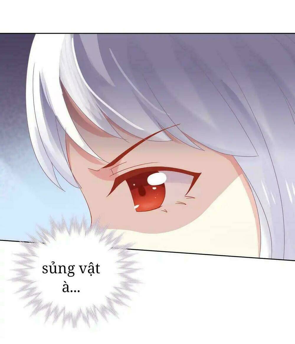 phi thiên địch tự dưỡng đích khẩu tử chapter 11 14