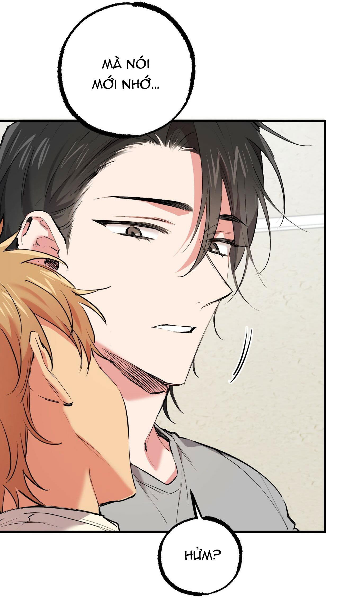 những chú thỏ của hapypy chapter 32 15