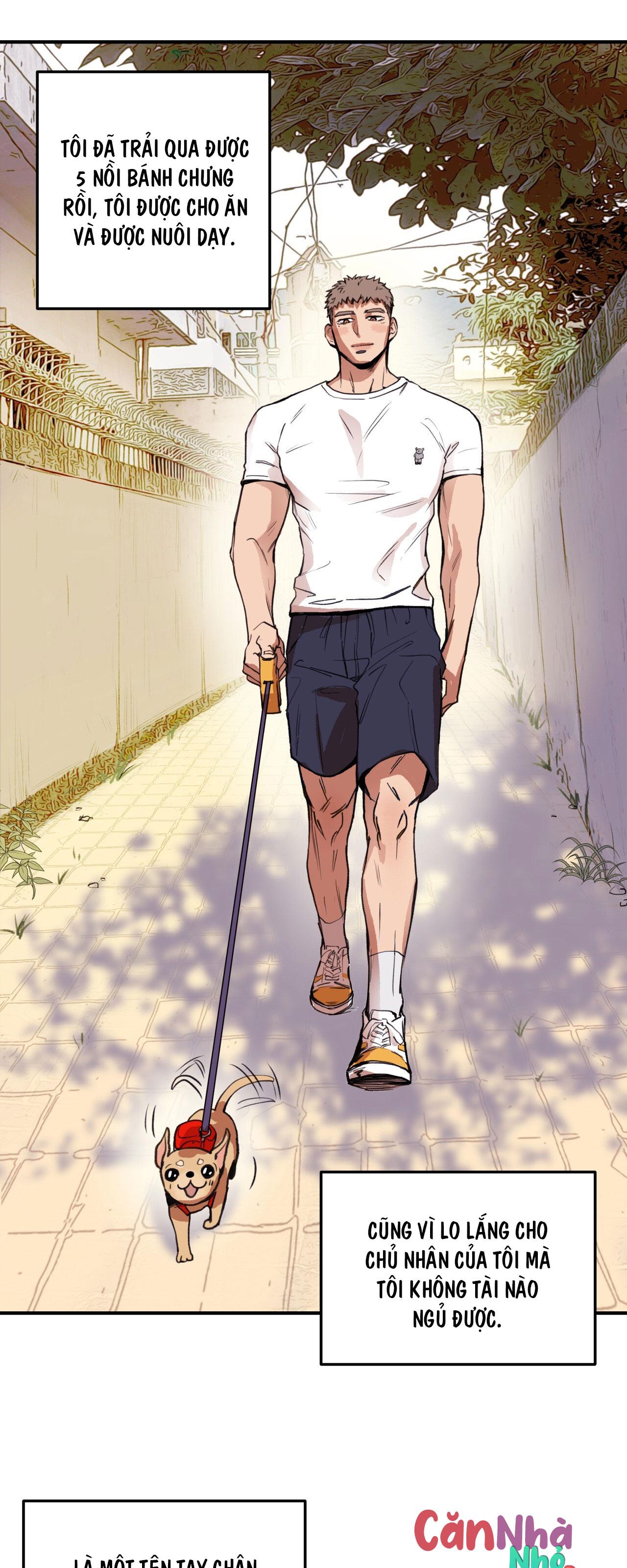 mật gấu chapter 1 4