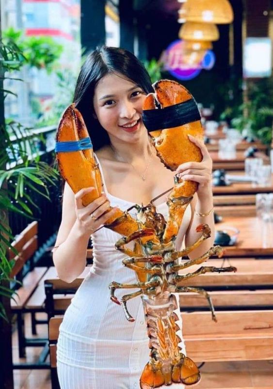 Tôm Hùm Tươi Sống Size ( 2,5KG - 3KG)