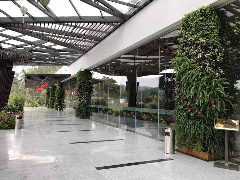 Bộ khung chậu vườn tường