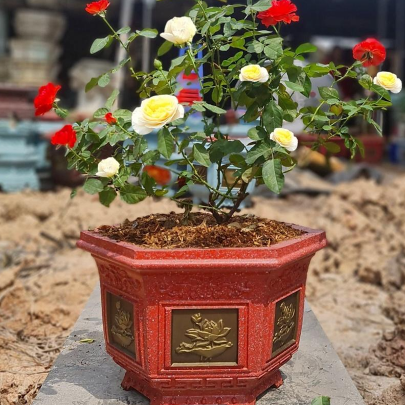 Khuôn đúc chậu lục giác 38cm
