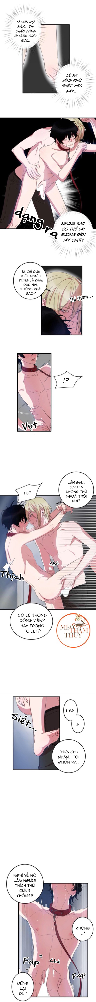 khẩu vị và sự tôn thờ của người yêu tôi chapter 8 3