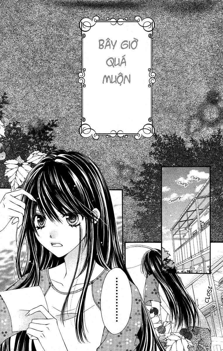momo chapter 1 1
