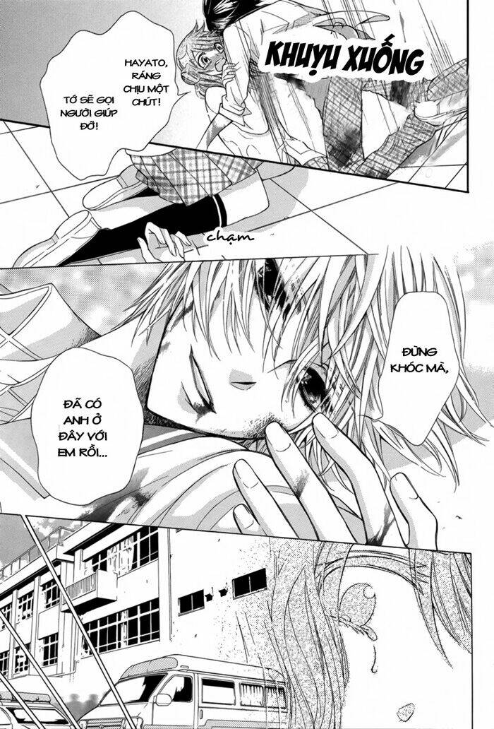 perfect boyfriends chapter 0 42