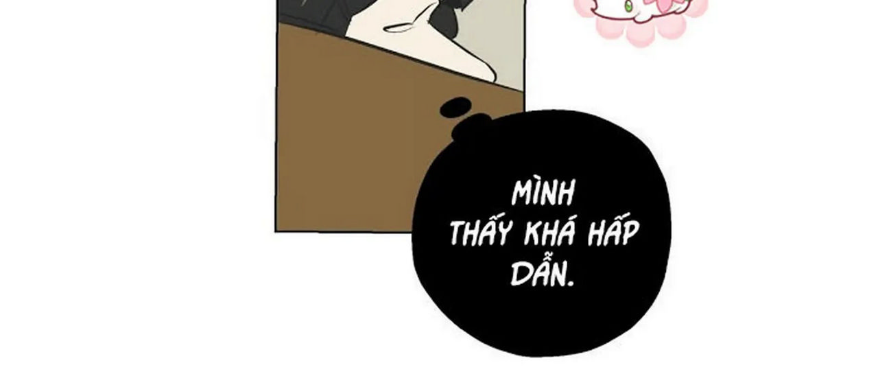 chuyện quái gì với giấc mơ đó vậy chapter 1 237