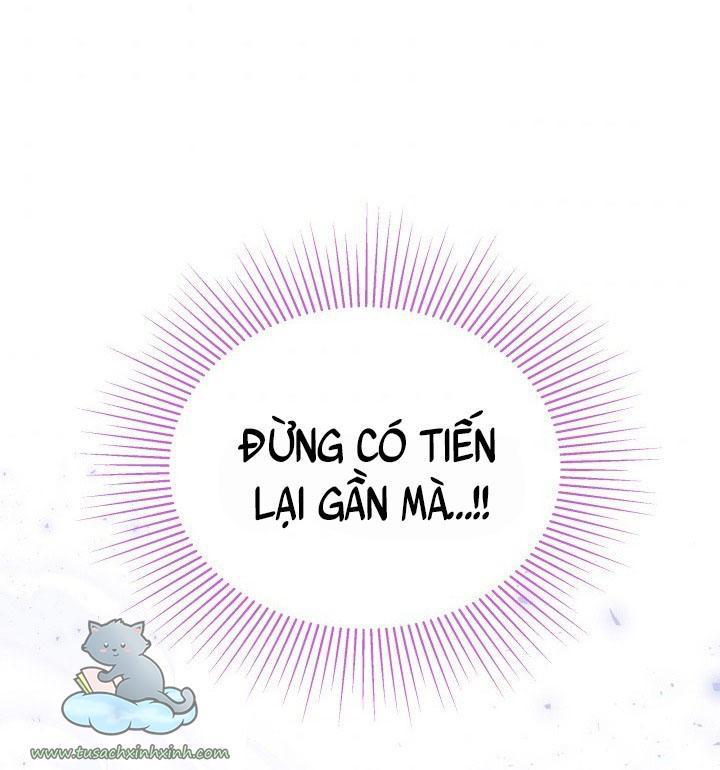 quan hệ cộng sinh giữa báo đen và thỏ trắng chapter 61 65