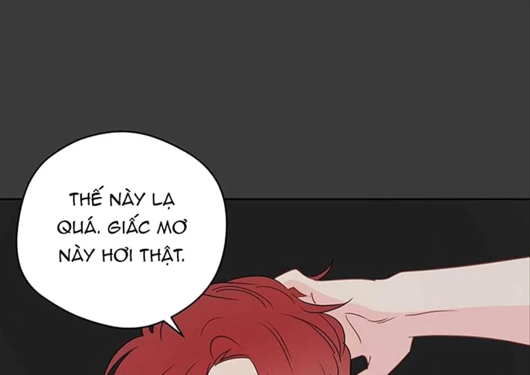 chuyện quái gì với giấc mơ đó vậy chapter 31 114