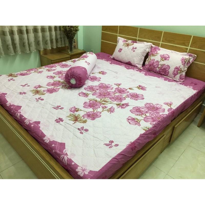 Bộ chăn ga gối Cotton Poly bọc thun và chần gòn 3 lớp nhiều mẫu 1m8x2mx20cm