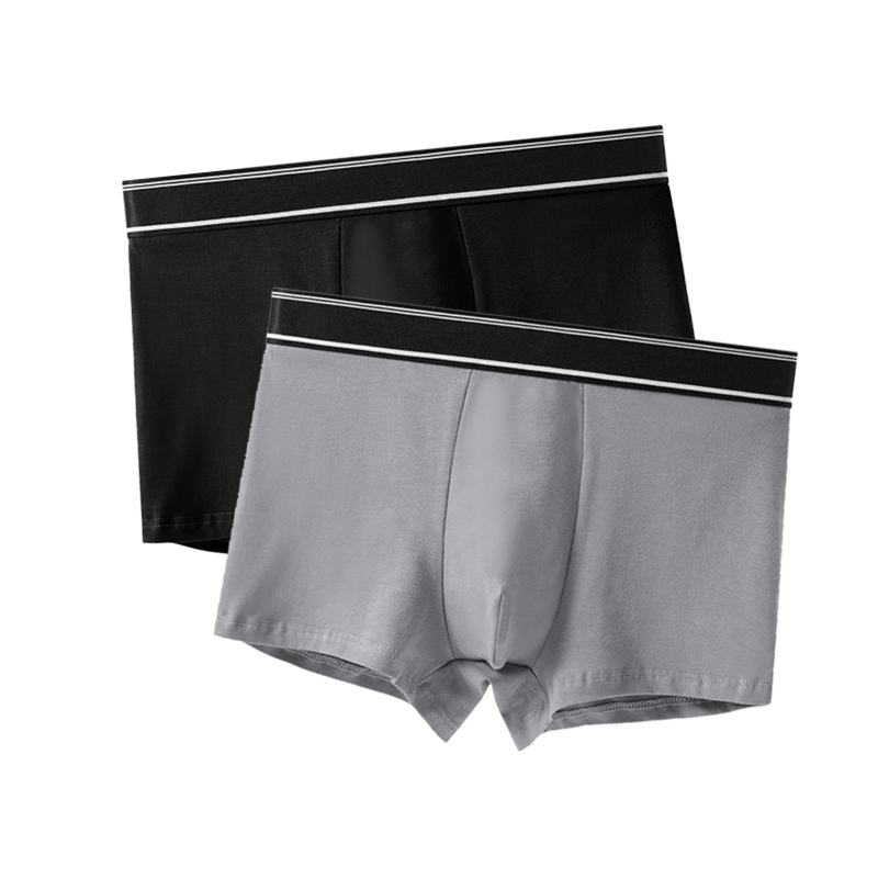 Combo 2 quần lót nam boxer, set 2 sịp đùi nam màu trơn thun cotton CBQL116