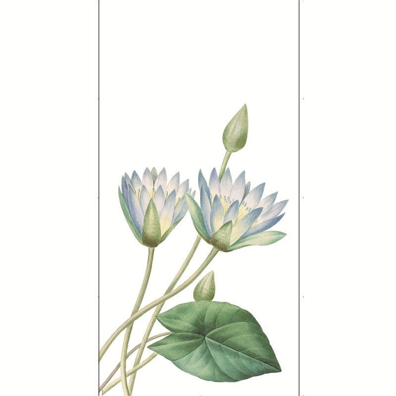 Decal trang trí kinh Cao Cấp - Hoa sen trắng