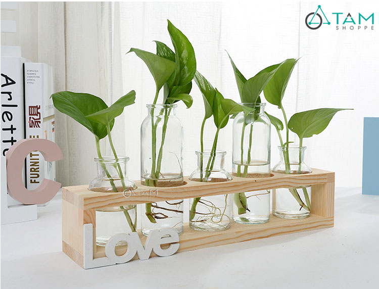 Set 5 lọ hoa thuỷ tinh kèm kệ gỗ trang trí nhà cửa