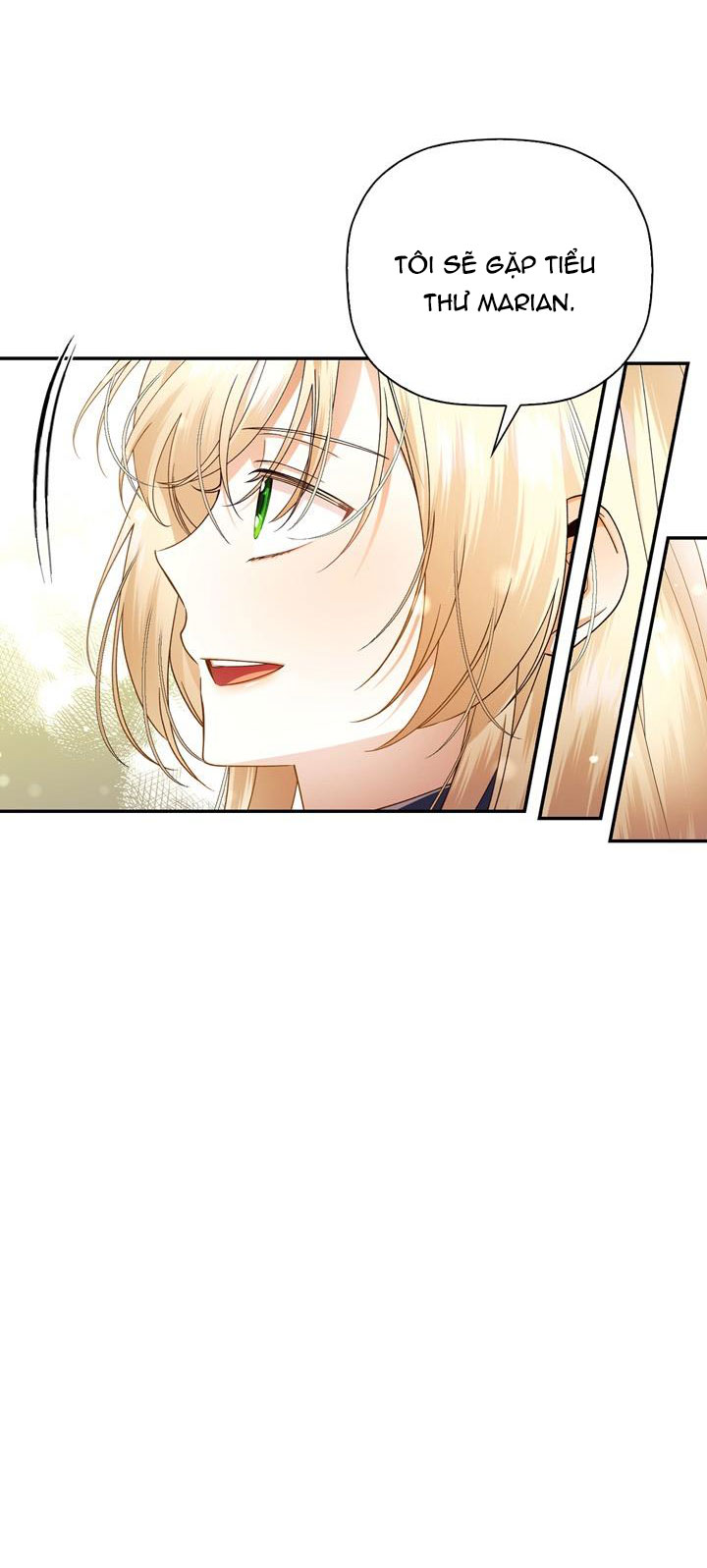 cách che giấu đứa con của hoàng đế chapter 26 13