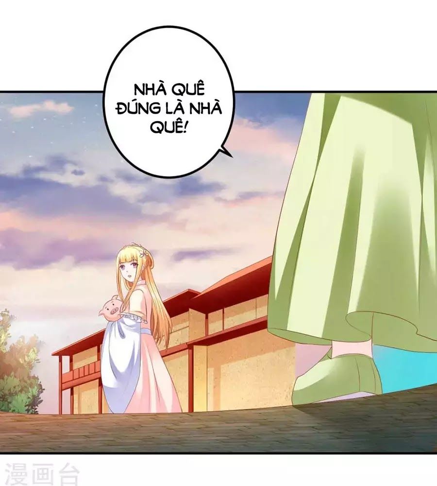 từ đây vương gia không thượng triều sớm chapter 90 1