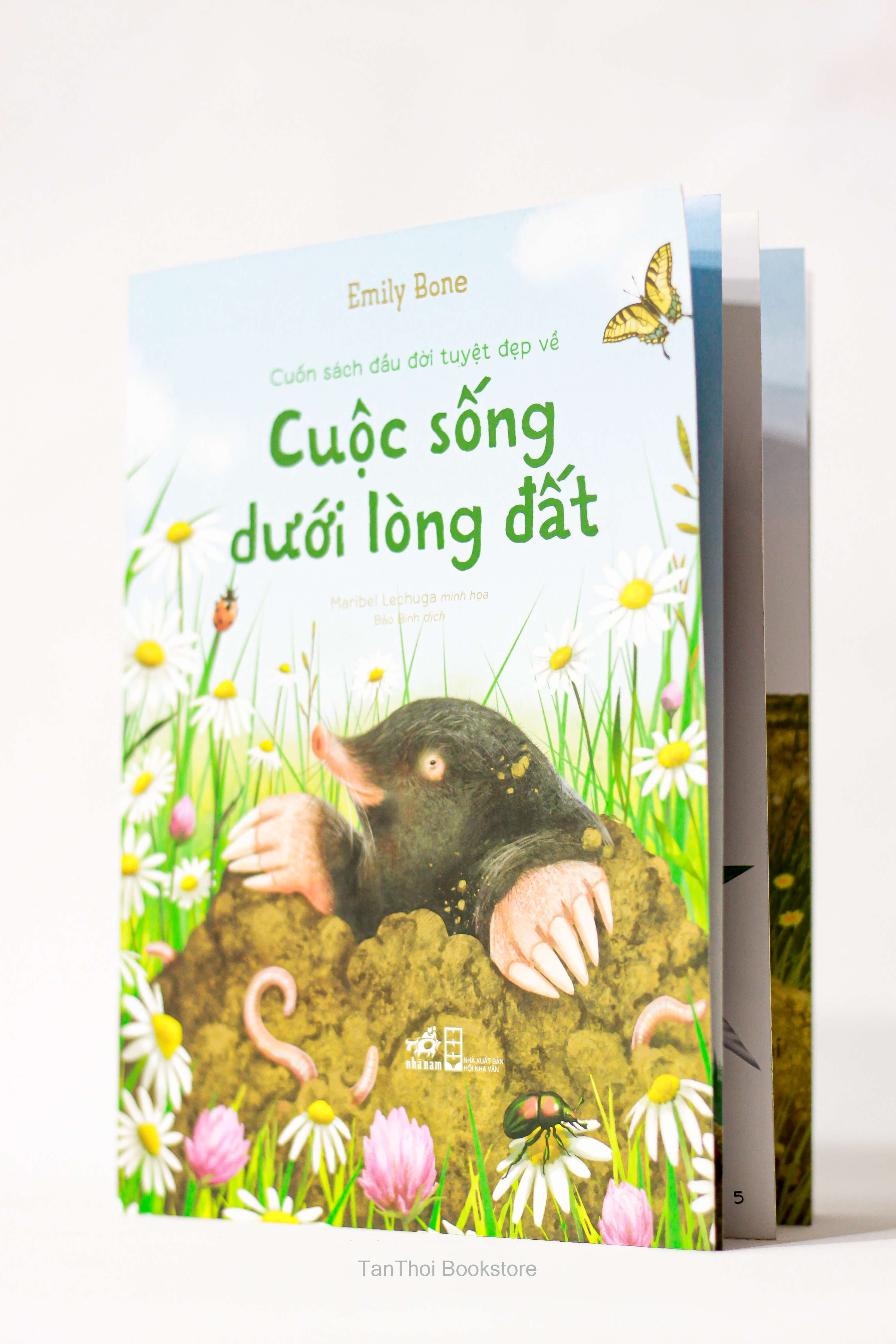 Cuốn sách đầu đời tuyệt đẹp về - Cuộc sống dưới lòng đất