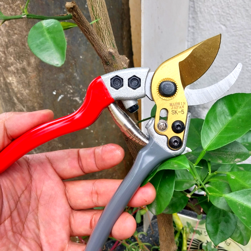 Kéo SK5 chuyên dụng cắt tỉa cành-cán bọc su chống trượt cao cấp. Mẫu mới nhất