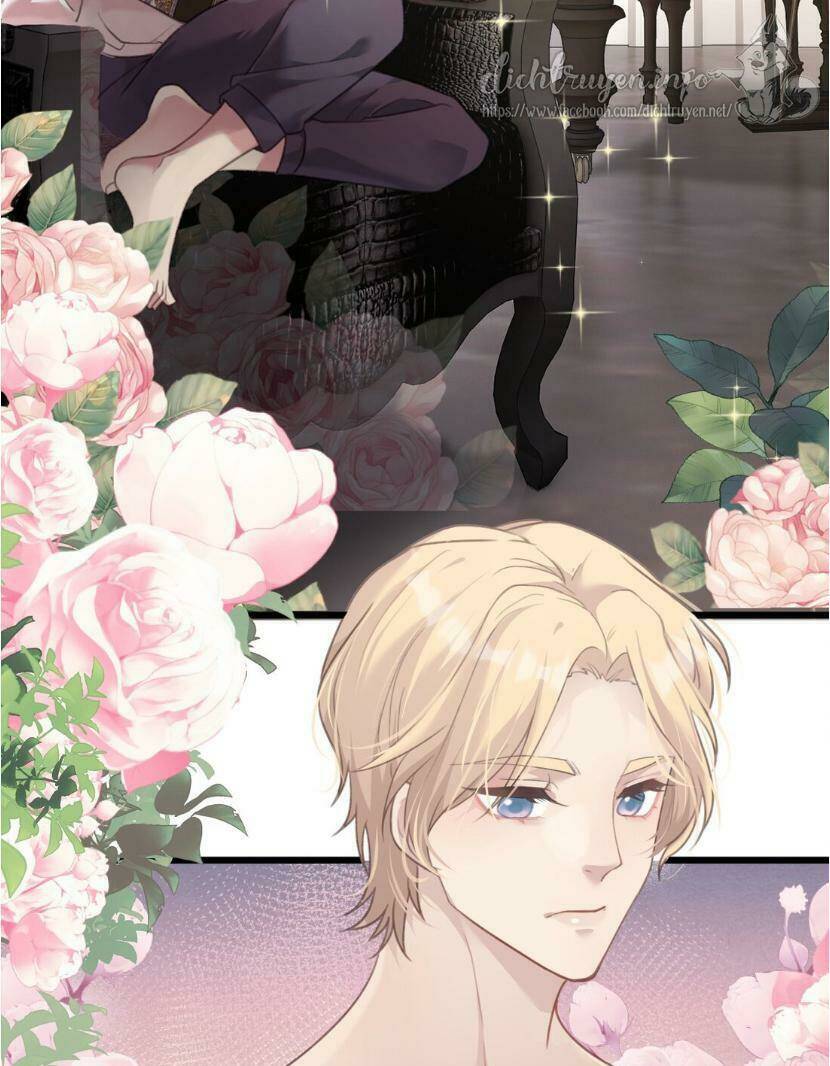 dù là sói cô độc cũng có tình yêu của sẻ nhỏ chapter 19 27