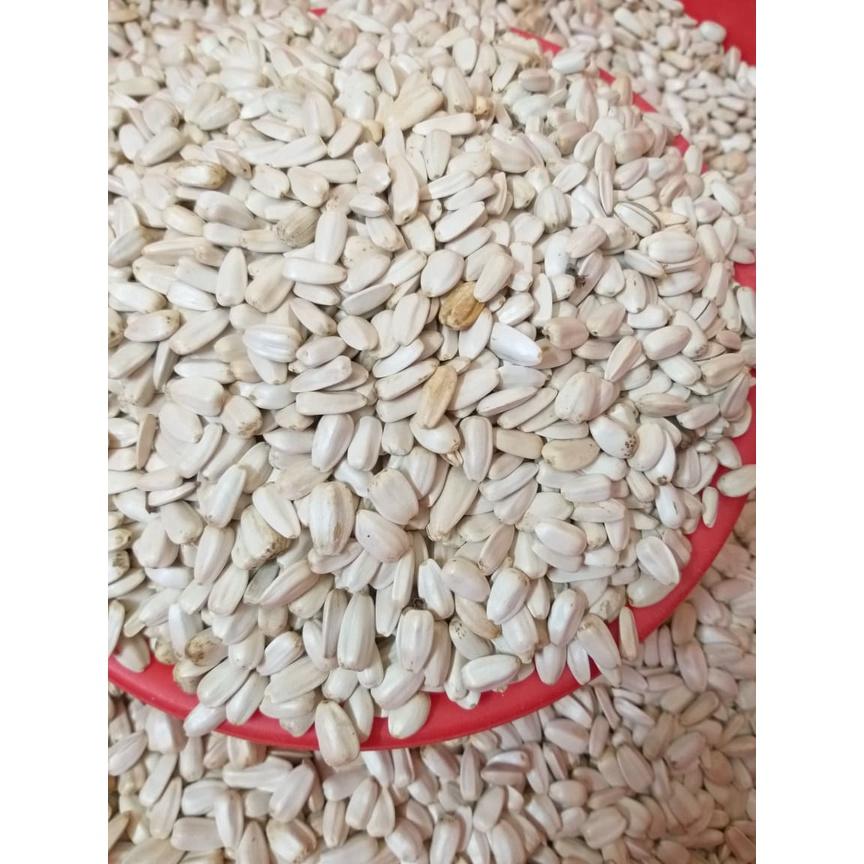 0,5kg hướng dương trắng nhỏ Ai Cập / lớn Kenya